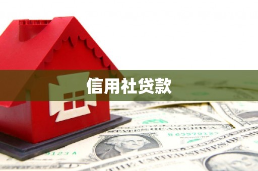南陵信用社贷款