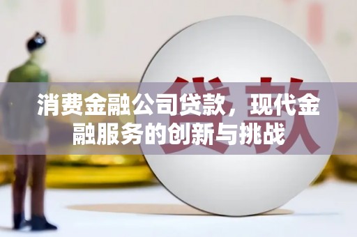 南陵消费金融公司贷款，现代金融服务的创新与挑战