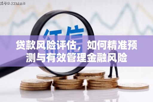 南陵贷款风险评估，如何精准预测与有效管理金融风险