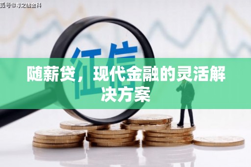 南陵随薪贷，现代金融的灵活解决方案