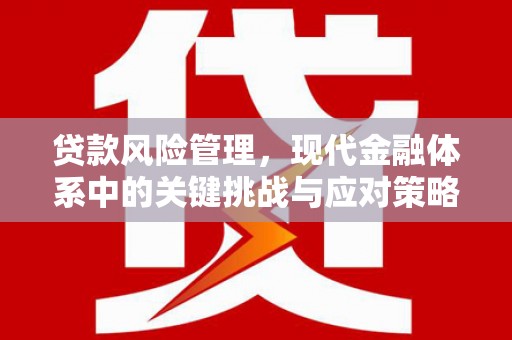 南陵贷款风险管理，现代金融体系中的关键挑战与应对策略