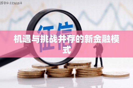 南陵机遇与挑战并存的新金融模式
