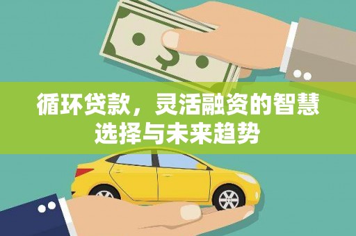 南陵循环贷款，灵活融资的智慧选择与未来趋势
