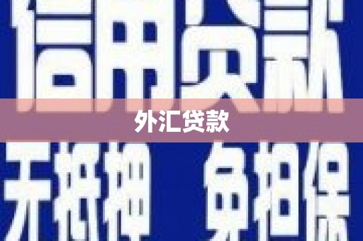 南陵外汇贷款