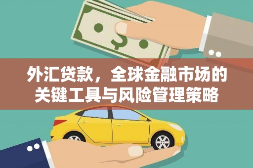 南陵外汇贷款，全球金融市场的关键工具与风险管理策略