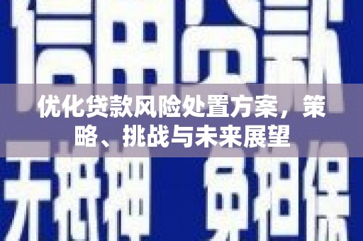 南陵优化贷款风险处置方案，策略、挑战与未来展望