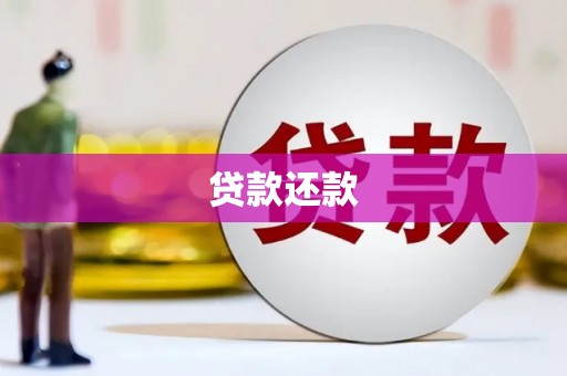 南陵贷款还款