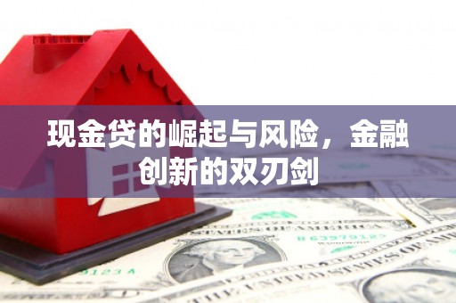 南陵现金贷的崛起与风险，金融创新的双刃剑