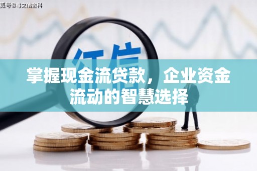 南陵掌握现金流贷款，企业资金流动的智慧选择