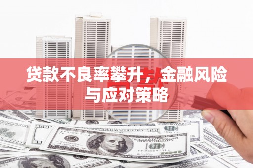 南陵贷款不良率攀升，金融风险与应对策略