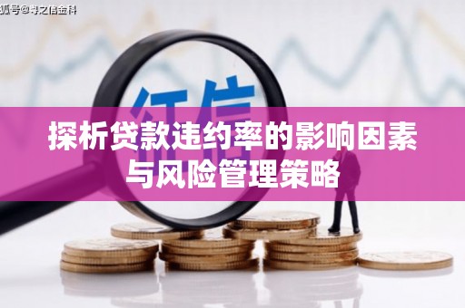 南陵探析贷款违约率的影响因素与风险管理策略