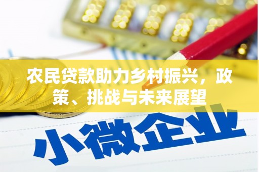 南陵农民贷款助力乡村振兴，政策、挑战与未来展望