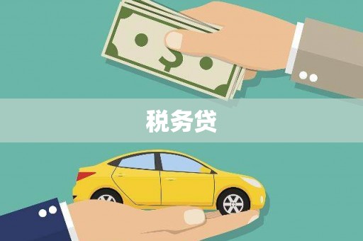 南陵税务贷