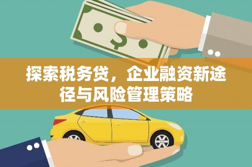 南陵探索税务贷，企业融资新途径与风险管理策略