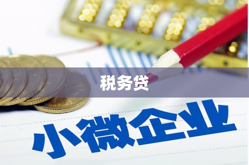 南陵税务贷