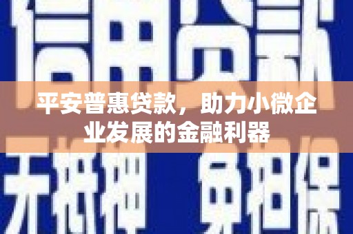 南陵平安普惠贷款，助力小微企业发展的金融利器