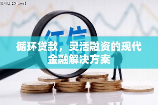 南陵循环贷款，灵活融资的现代金融解决方案
