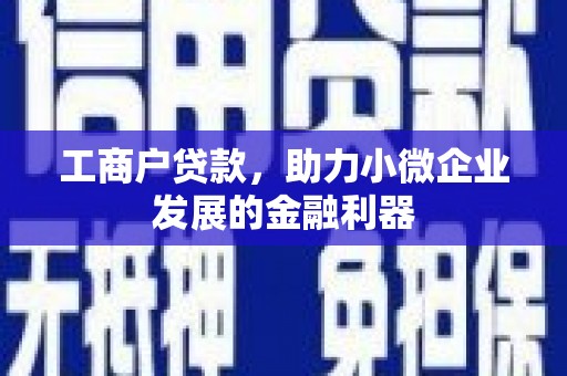 南陵工商户贷款，助力小微企业发展的金融利器