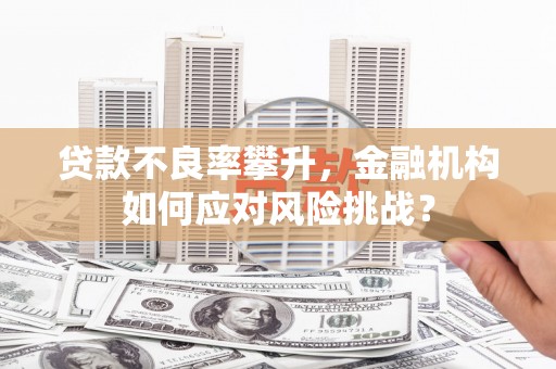 南陵贷款不良率攀升，金融机构如何应对风险挑战？