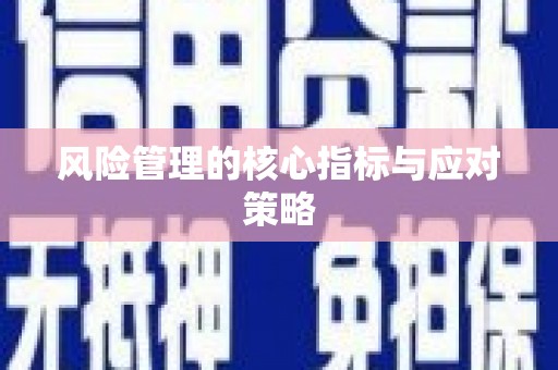 南陵风险管理的核心指标与应对策略