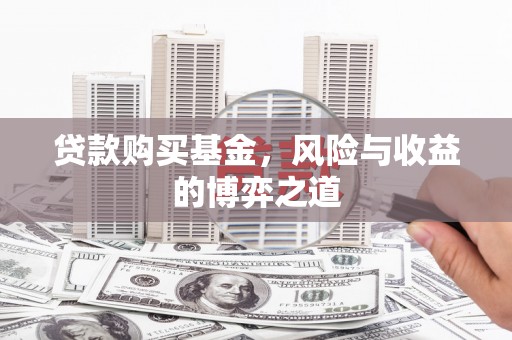 南陵贷款购买基金，风险与收益的博弈之道