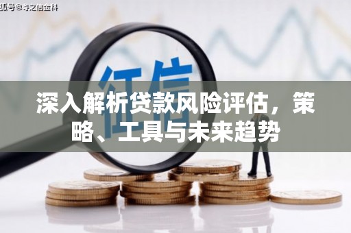 南陵深入解析贷款风险评估，策略、工具与未来趋势