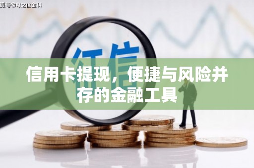 南陵信用卡提现，便捷与风险并存的金融工具
