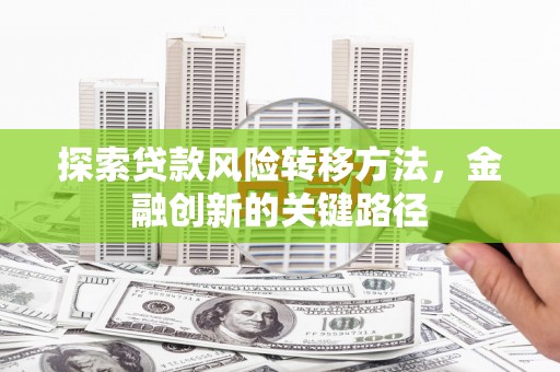 南陵探索贷款风险转移方法，金融创新的关键路径