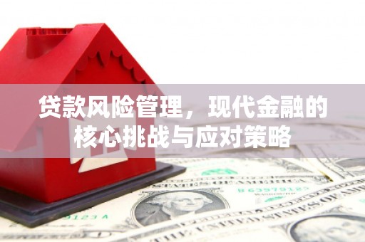 南陵贷款风险管理，现代金融的核心挑战与应对策略