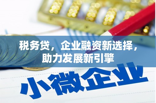 南陵税务贷，企业融资新选择，助力发展新引擎