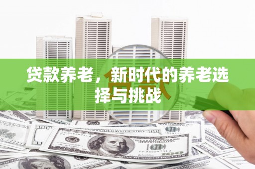 南陵贷款养老，新时代的养老选择与挑战