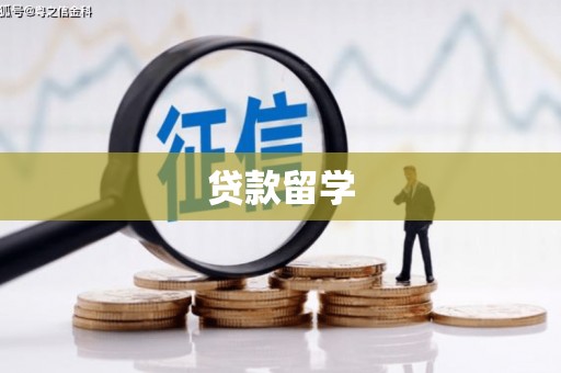 南陵贷款留学