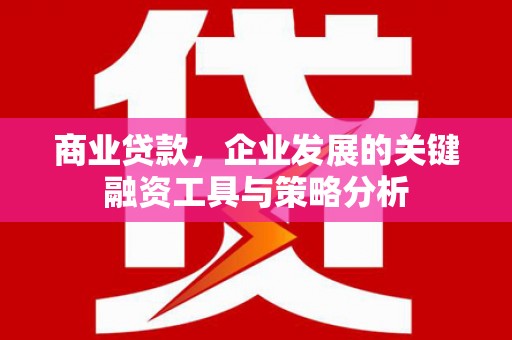 南陵商业贷款，企业发展的关键融资工具与策略分析