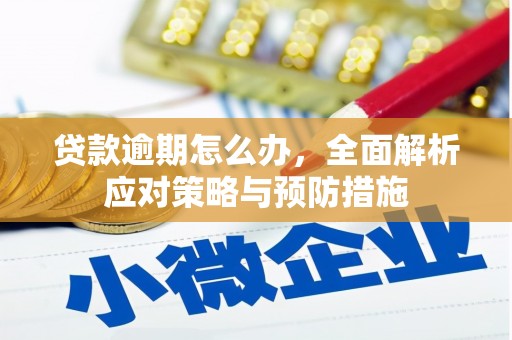 南陵贷款逾期怎么办，全面解析应对策略与预防措施
