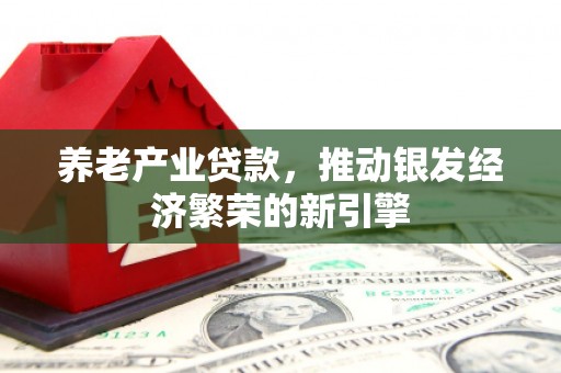 南陵养老产业贷款，推动银发经济繁荣的新引擎