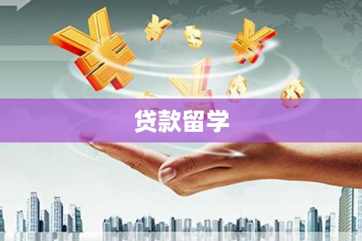 南陵贷款留学