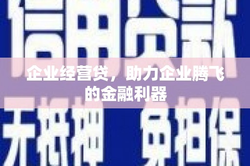 南陵企业经营贷，助力企业腾飞的金融利器