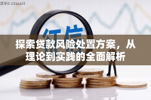 南陵探索贷款风险处置方案，从理论到实践的全面解析