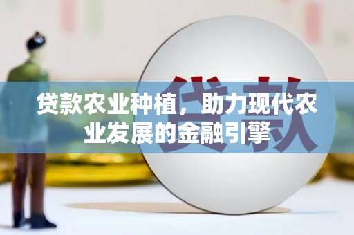 南陵贷款农业种植，助力现代农业发展的金融引擎