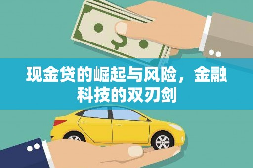 南陵现金贷的崛起与风险，金融科技的双刃剑
