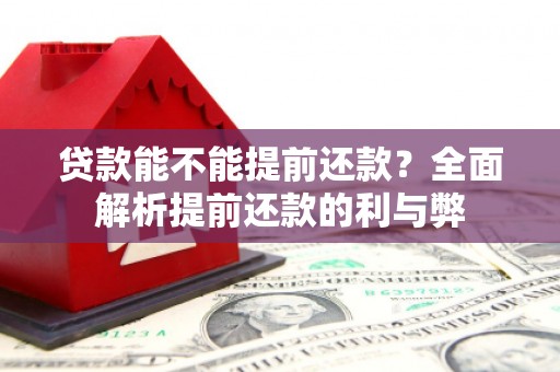 南陵贷款能不能提前还款？全面解析提前还款的利与弊