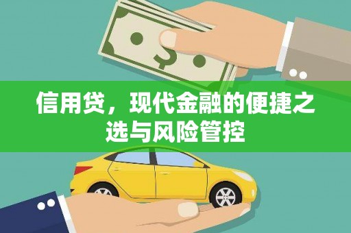 南陵信用贷，现代金融的便捷之选与风险管控