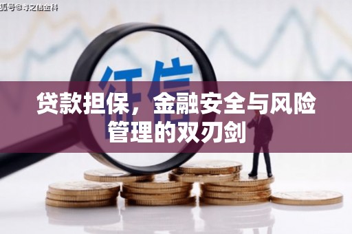 南陵贷款担保，金融安全与风险管理的双刃剑