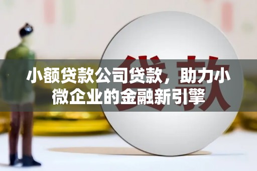 南陵小额贷款公司贷款，助力小微企业的金融新引擎