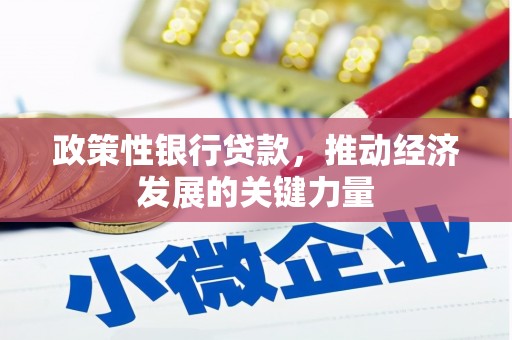 南陵政策性银行贷款，推动经济发展的关键力量