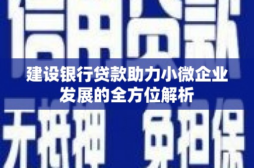 南陵建设银行贷款助力小微企业发展的全方位解析