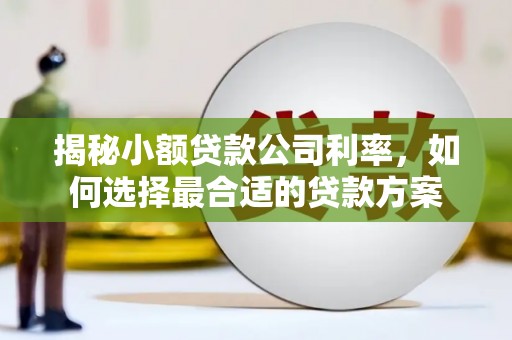 南陵揭秘小额贷款公司利率，如何选择最合适的贷款方案