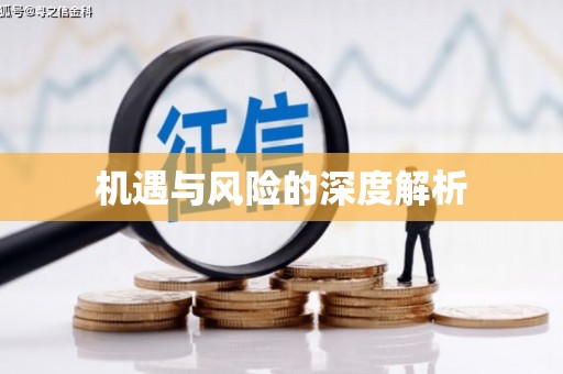 南陵机遇与风险的深度解析