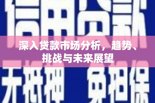 南陵深入贷款市场分析，趋势、挑战与未来展望