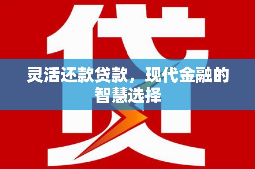 南陵灵活还款贷款，现代金融的智慧选择